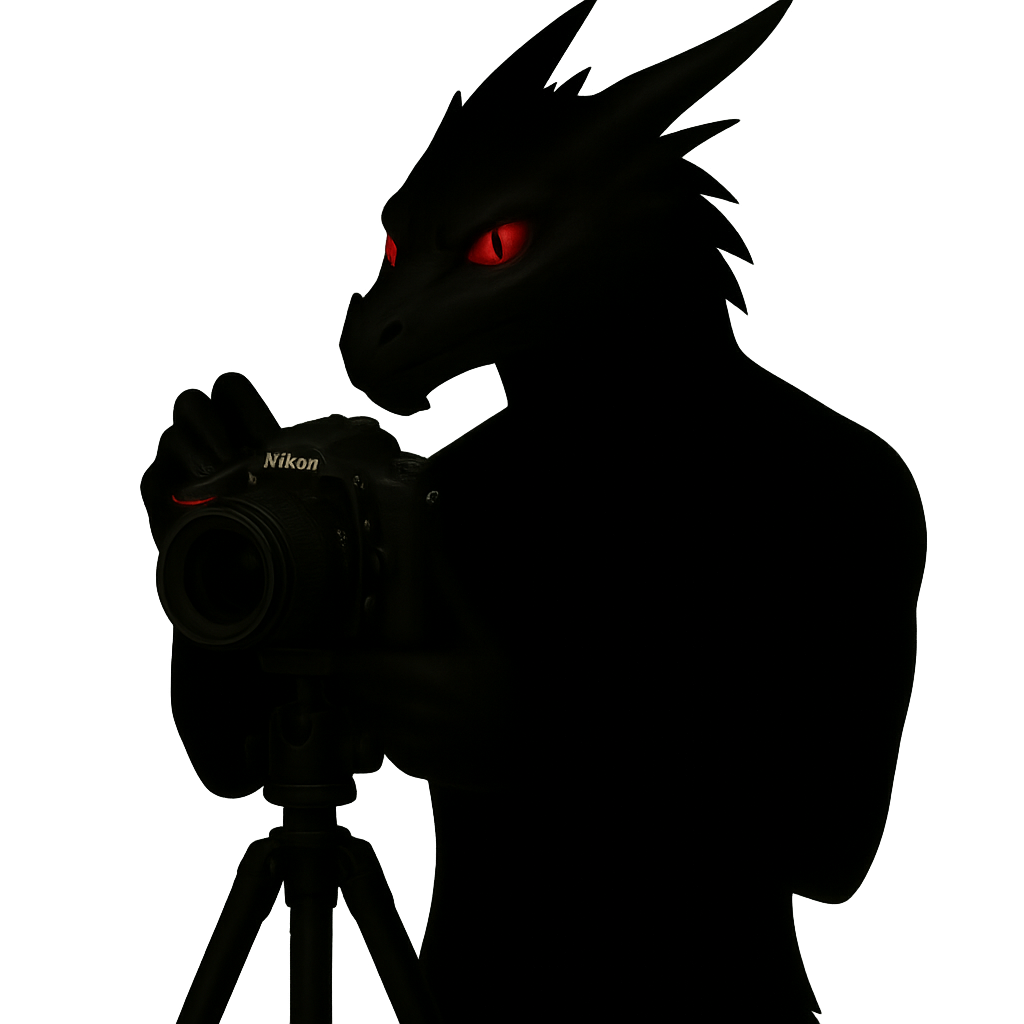 about-me-shadow-dragon